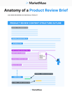 Anatomy of a Review Brief