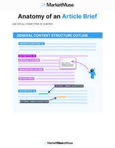 Anatomy of an Article Brief